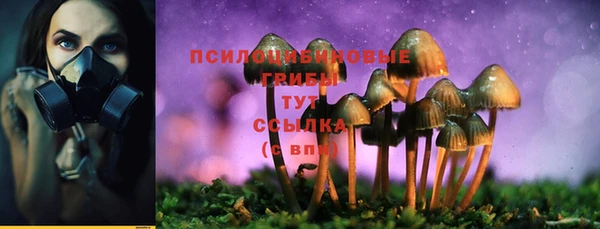 ПСИЛОЦИБИНОВЫЕ ГРИБЫ Верея