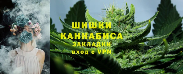 молекула духа Семикаракорск