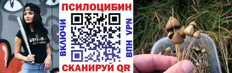 Псилоцибиновые грибы GOLDEN TEACHER  Семёнов 